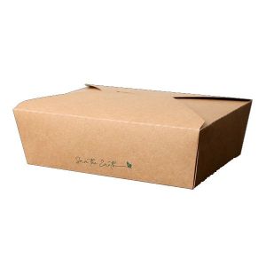 CONTAINER CARTON KRAFT 