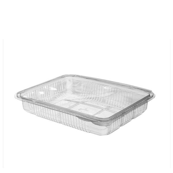 Imagen grande ENVASE LONCHEADO PET H40G 185X233X43 (BANDESUR)