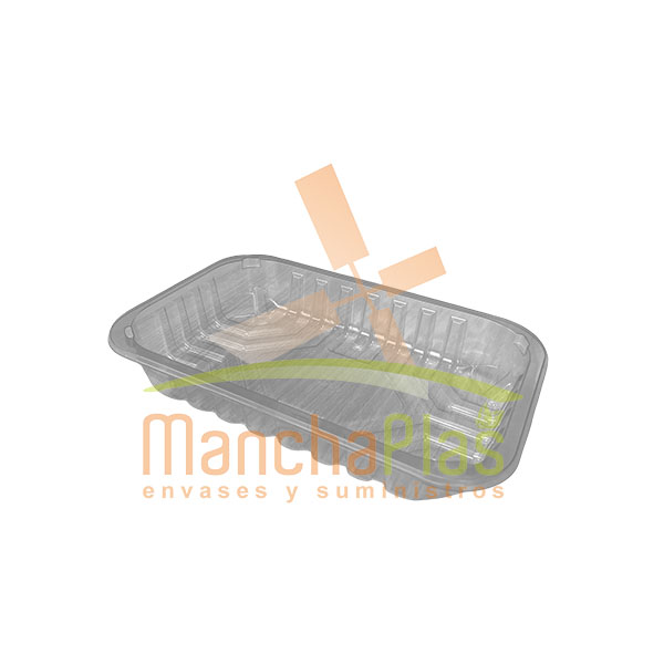Imagen grande BANDEJA PET-PE TTE. TERMOSELLAR 232X146X27MM