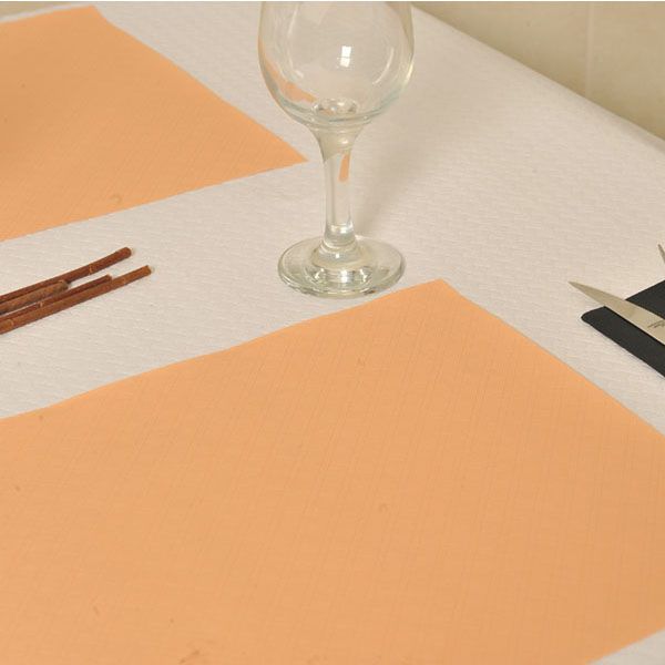 Imagen grande MANTEL PAPEL INDIV. 30X40 SALMON 40 GRS - 2X500 UD