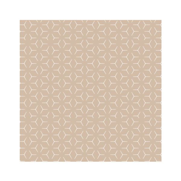 Imagen grande PAPEL ANTIGRASA ENCERADO 2 CARAS FFAS FREE 31X31CM